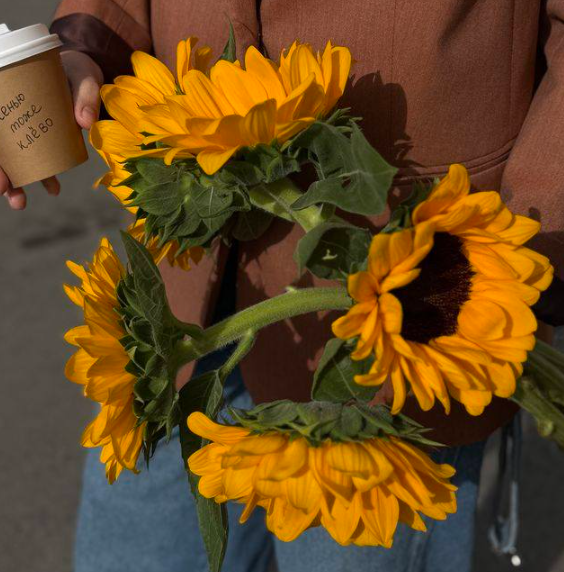 sunflowerchives's tweet photo. I'm obsessed📷📷 https://t.co/qsSCyyL5nS
