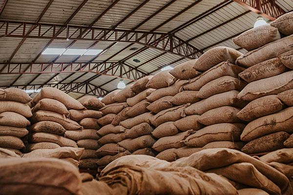 The Nigerian Farmer tweet media