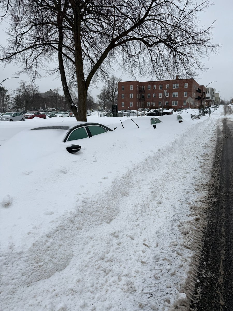 Only In Boston tweet media