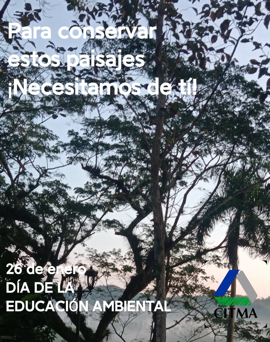 El Día Mundial de la Educación Ambiental, 26 de enero, tiene como fin despertar la conciencia y la acción en torno a la conservación del medio ambiente
🔹Promueve integrar los principios de sostenibilidad en la educación y la vida cotidiana, hacia un mundo más justo y ecológico