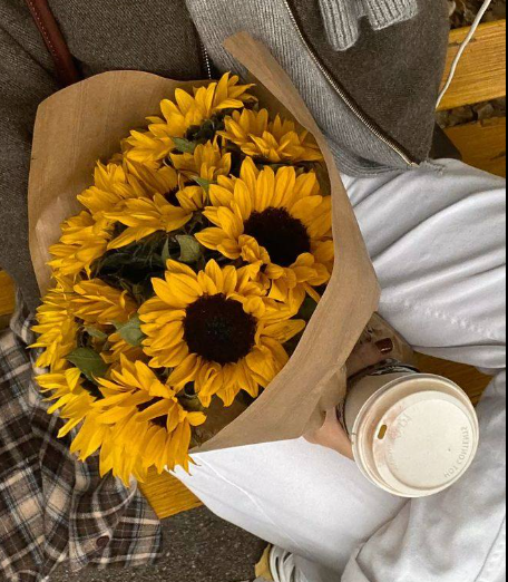 sunflowerchives's tweet photo. I'm obsessed📷📷 https://t.co/qsSCyyL5nS