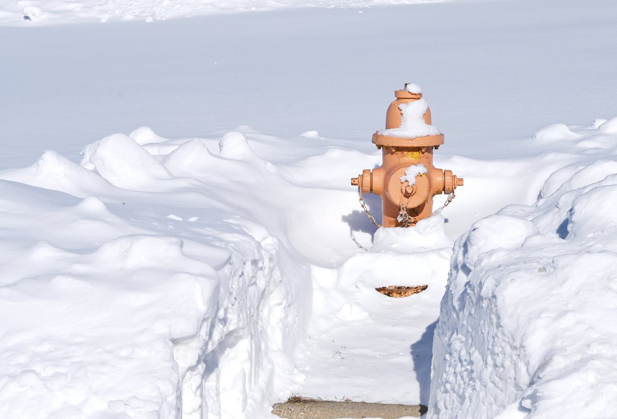 St. Catharines tweet media