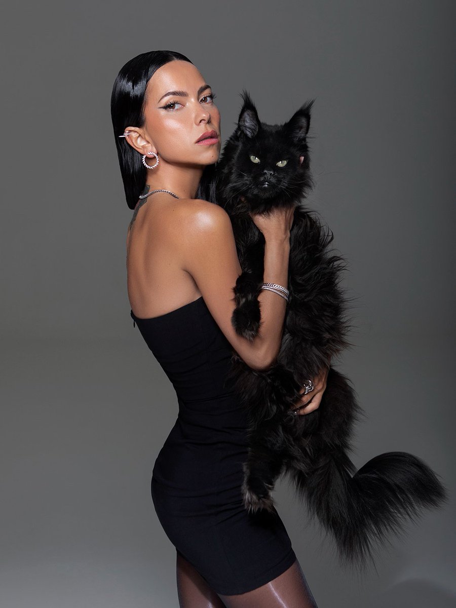 InnaFinland's tweet photo. INNA × Stil Diamonds "felINNA" 🐾

#INNA #Cat https://t.co/9pAml1zBld