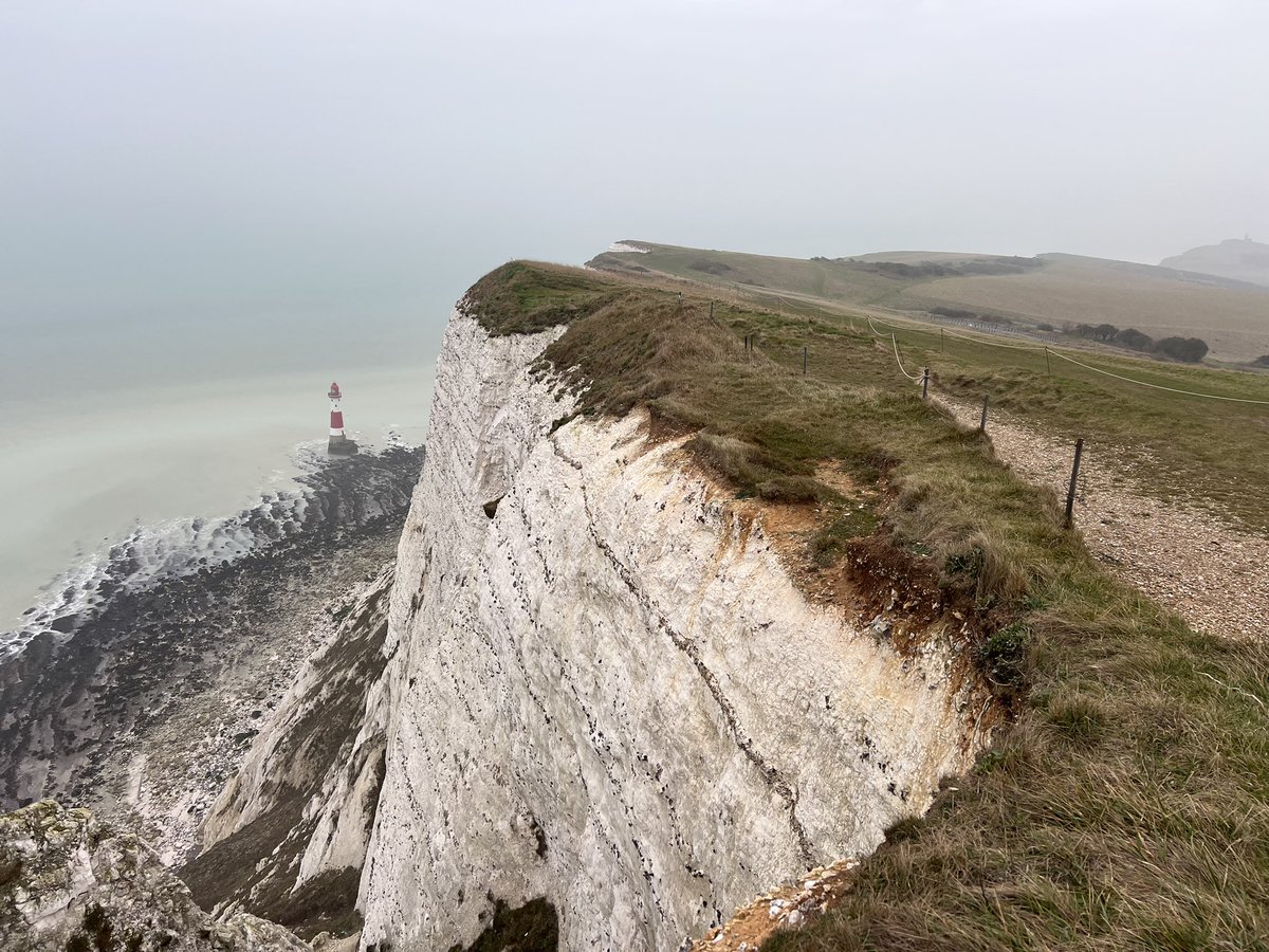 Ian Snyder tweet media