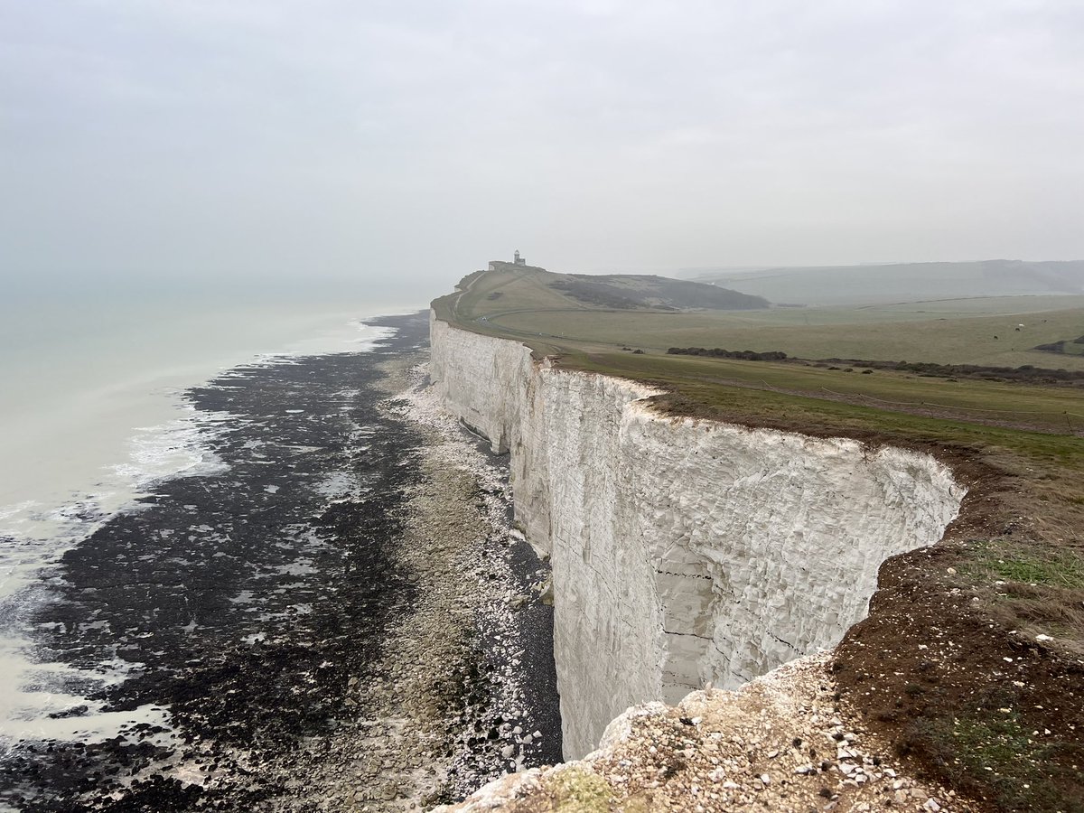 Ian Snyder tweet media