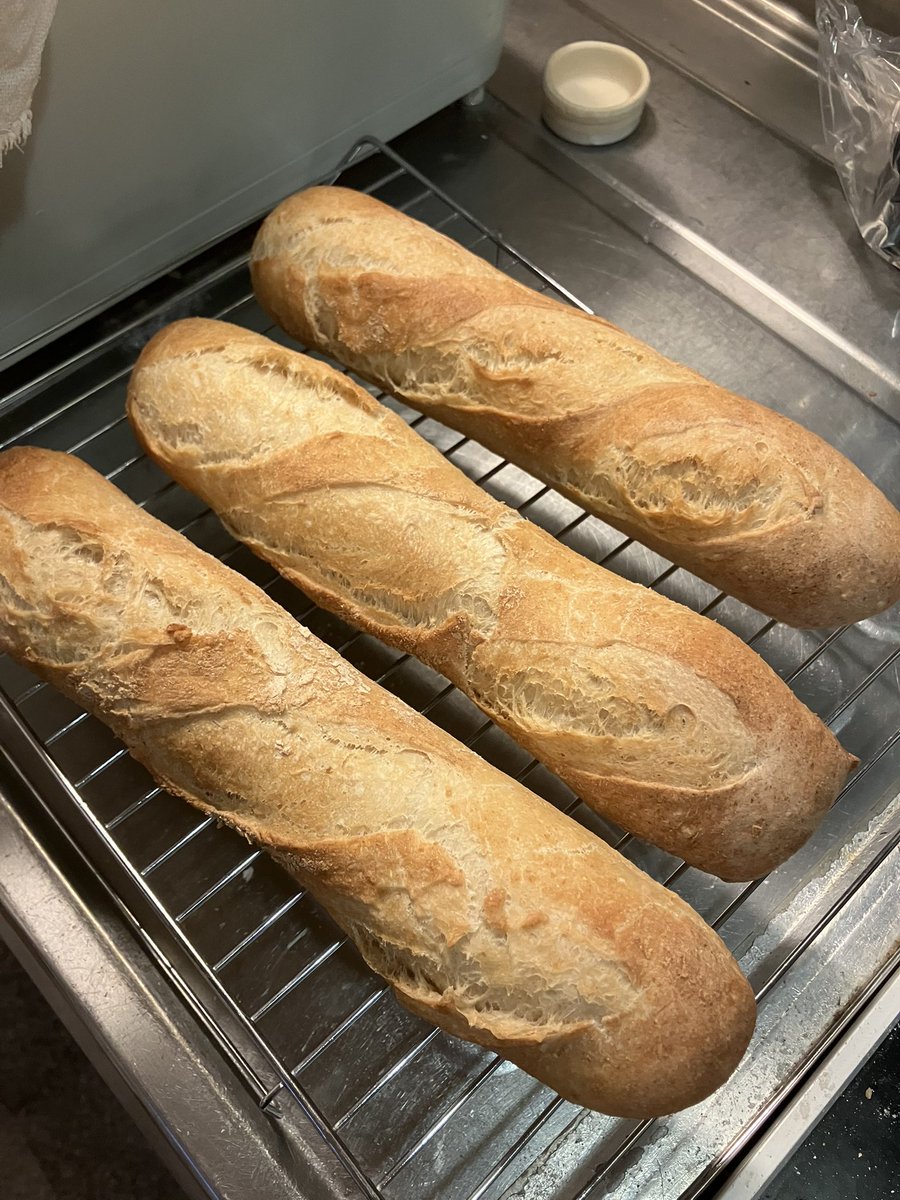 パン焼けた。
焼き立てが1番美味しいので夜中だけど食べる。
バター挟んで食べる。

#天然酵母 #自家製パン #バゲット