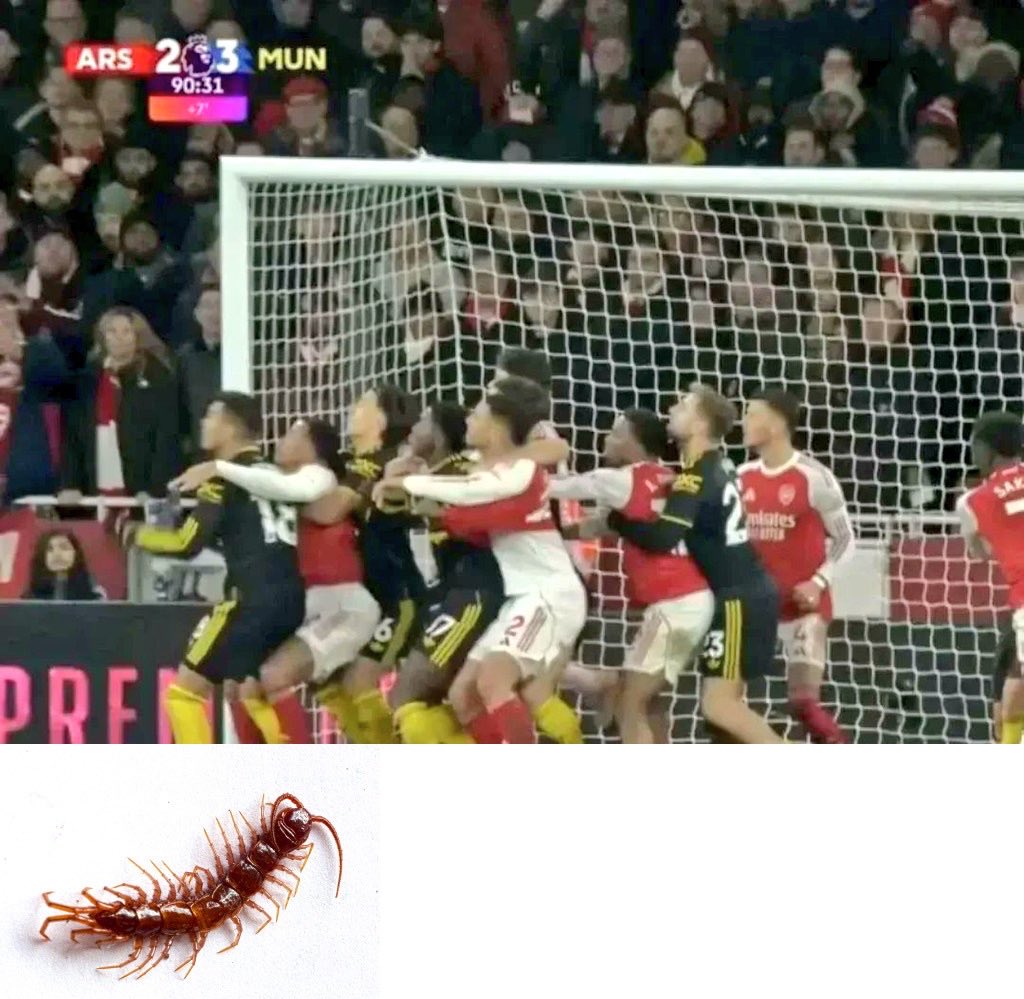 malnikaal's tweet photo. Phase 7 Artetaball feat. Jover https://t.co/bRpT8TWR3q