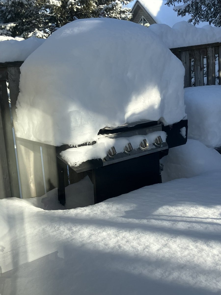 Hugh Cook 🇨🇦 tweet media