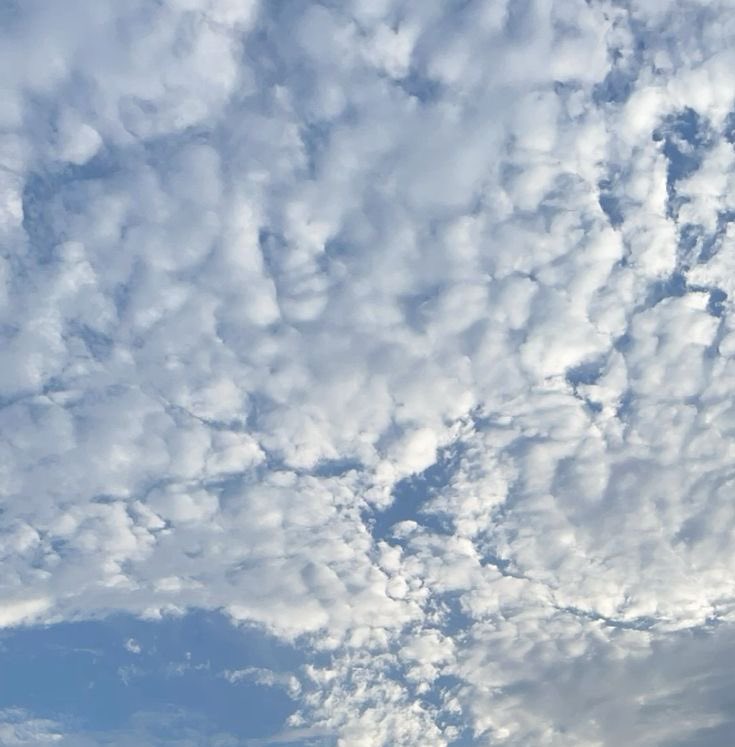 MidoStrfd's tweet image. الغيوم اليوم يقلبي! ☁️🩵