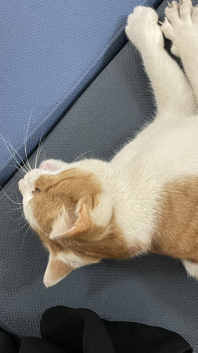 صديقي بالجامعه🐈😂