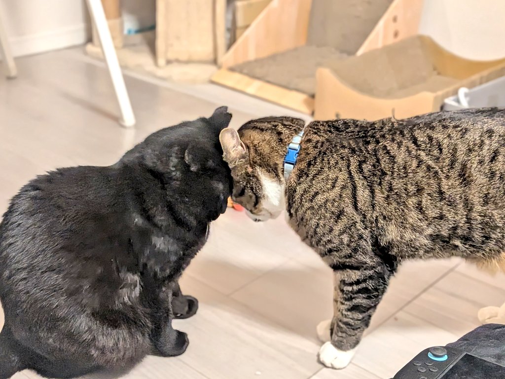 さっちゃん (@toshiakisan1127) / Posts / X