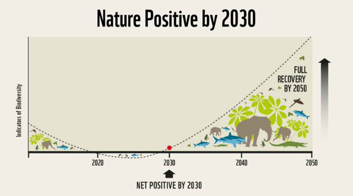 IUCNClimateTeam's tweet photo. On #InternationalDayOfCleanEnergy ⚡🌿 #GINGR celebrates its first White Paper: Powering a #NaturePositive Future—a roadmap for #renewables that deliver for nature &amp; people.

👉 https://t.co/LVaoXENhc4

GINGR is a collaboration between @IUCN and the Renewables Grid Initiative. https://t.co/Ekf5l2bh0Y