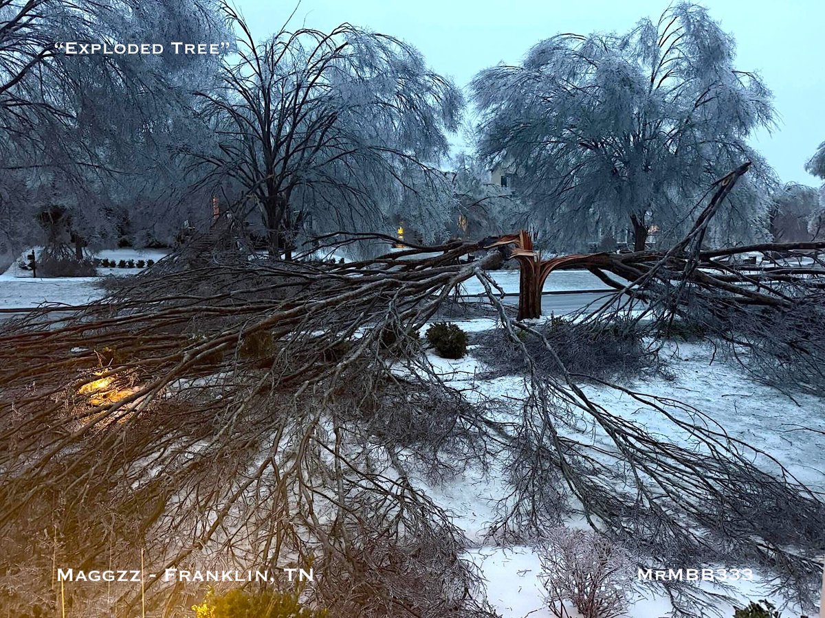 MrMBB333's tweet image. ICE LOAD CAUSED THE TREE TO FAIL — SPLITTING IT APART. 
What looks like an “explosion” is extreme stress from ice buildup forcing the trunk to give way.

#MrMBB333 #IceStorm  #WinterWeather #TreeFailure #StormImpact #SevereWeather  #Tennessee