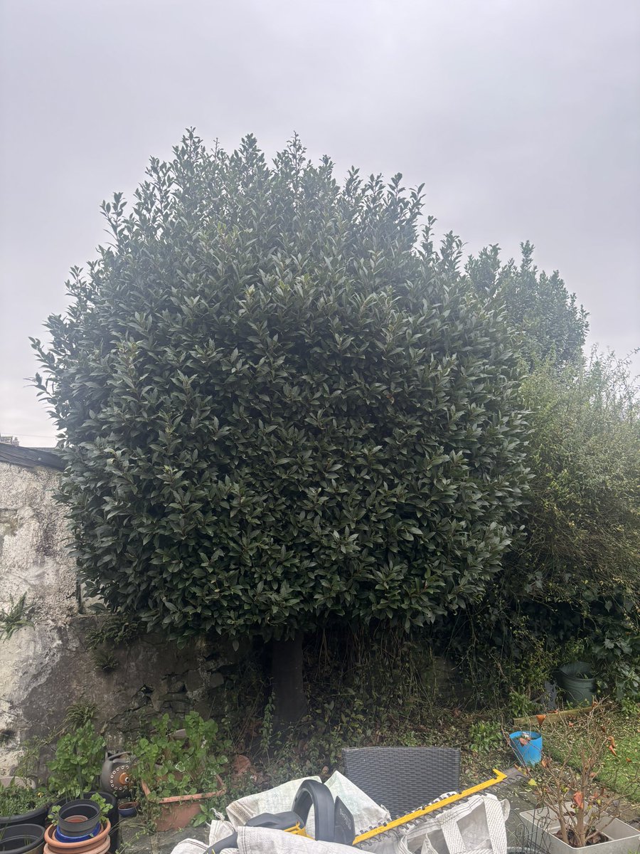 #HONESTMAN4HIRE tweet media