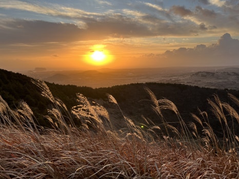 작년 8월부터 서울과 제주를 왔다 갔다 하며 살고 있어요.
오랜만에 내려간 제주도에서의 사진을 블로그에 올려봤어요.
보고 싶은 여러분, 잘 지내고 계시죠?

글: 3

- 전체 글은 9와 숫자들 블로그에... -
blog.naver.com/9andthenumbers…