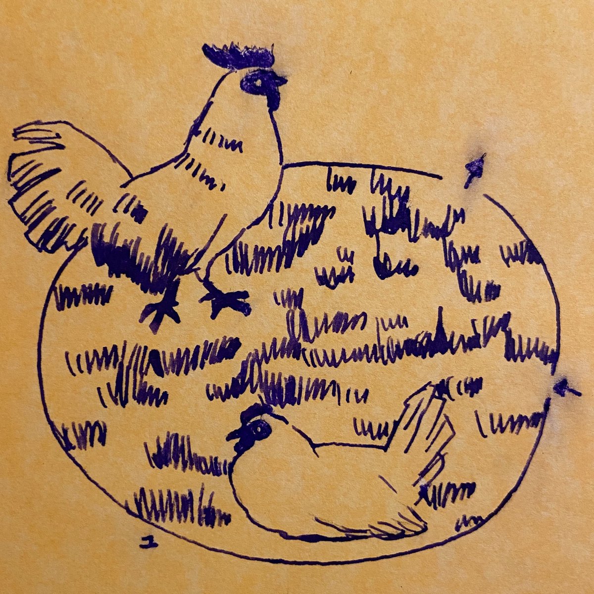 庭には2羽ニワトリがいるめいろ。
シャーってなっちゃった。
今日もとっても寒かったですね！

#にわとり #artwork #迷路 #maze #ゆきめいろ