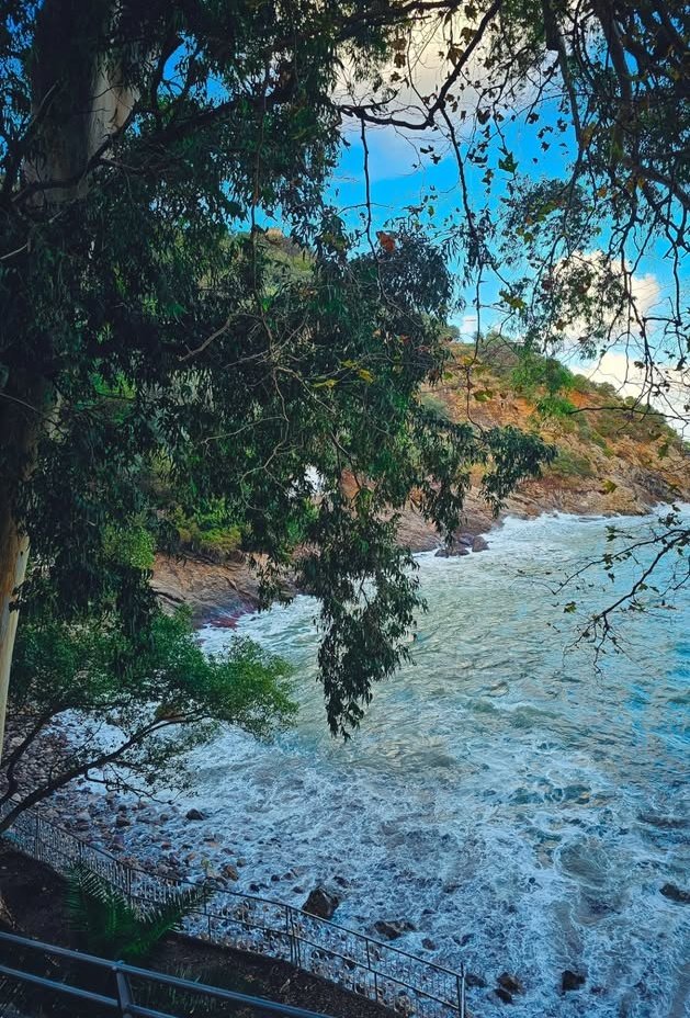 lidya_Benmehdi's tweet image. Béjaïa,Algérie