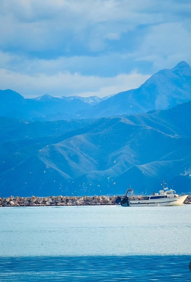 lidya_Benmehdi's tweet image. Béjaïa,Algérie