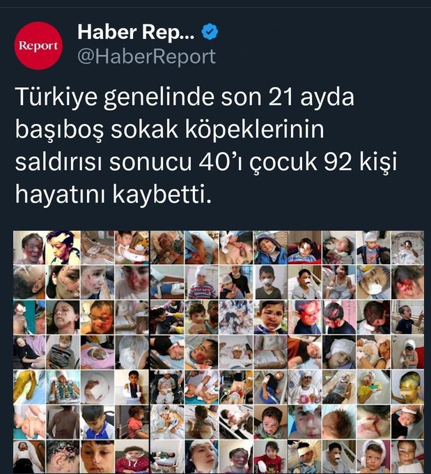 biyomemo's tweet photo. @AhmetCeyh @ayyildirim1 @Ulku_Ocaklari @alicelik2023 Milliyetçi olan milletine hizmet eder #basibos ite köpeğe değil.
milleti çoluk çocuk parçalayan öldüren,besi ve yaban hayvanlarını telef eden,parazitli dışkılariyla suyu ve  toprağı kirleten
#basiboshayvanlar beslemek vatana millete hayvan ihanettir. https://t.co/VNNVB38Lud
