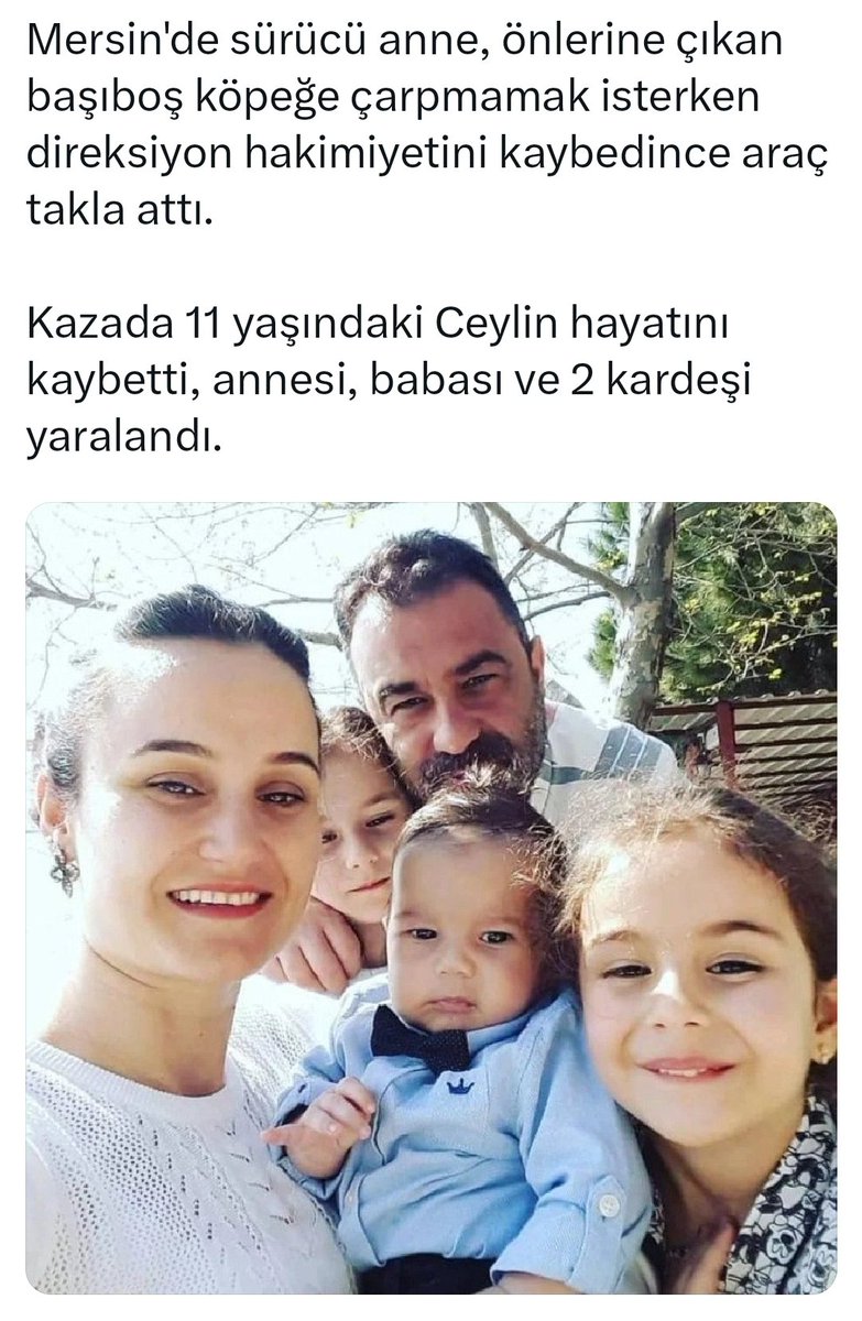 biyomemo's tweet photo. @AhmetCeyh @ayyildirim1 @Ulku_Ocaklari @alicelik2023 Milliyetçi olan milletine hizmet eder #basibos ite köpeğe değil.
milleti çoluk çocuk parçalayan öldüren,besi ve yaban hayvanlarını telef eden,parazitli dışkılariyla suyu ve  toprağı kirleten
#basiboshayvanlar beslemek vatana millete hayvan ihanettir. https://t.co/VNNVB38Lud