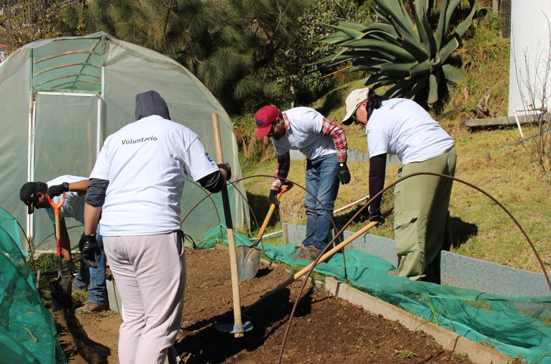 Voluntarios de <a href="/StellantisMX/">Stellantis México</a> y United Way llevaron a cabo una jornada de voluntariado en la comunidad de Piedra Grande, en Huixquilucan, Edo. Mex.
Acciones realizadas:
Instalación de estufas ahorradoras de leña tipo Patsari
Plantación de árboles frutales
Construcción de biofiltro
