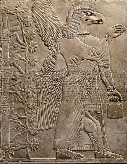 - İnsan bedenlerinin tek hücreli embriyodan nasıl geliştiğini düşünürsek, inanılmaz bir otomasyon görüyoruz. Ama otomasyon kontrol ve eşgüdüm gerektirir. Yani bu tamamen belirli bir morfik alan tarafından mı yönetiliyor?
+ Hayır
- Bu süreci hangi diğer güçler yönetiyor?
+ DNA,