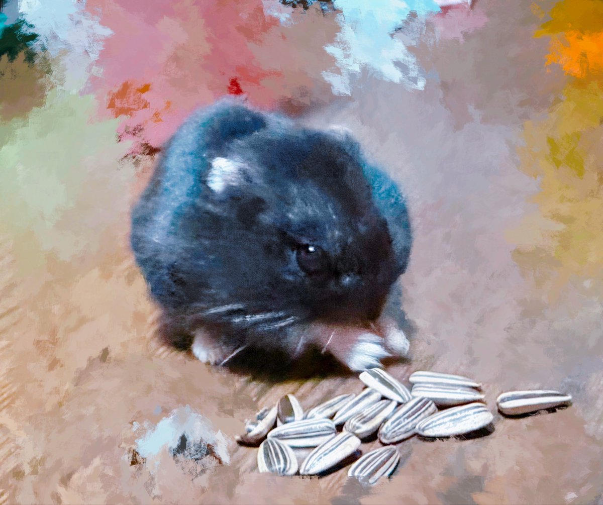 ぽめㄘみ (@enokipeyangu) / Posts / X