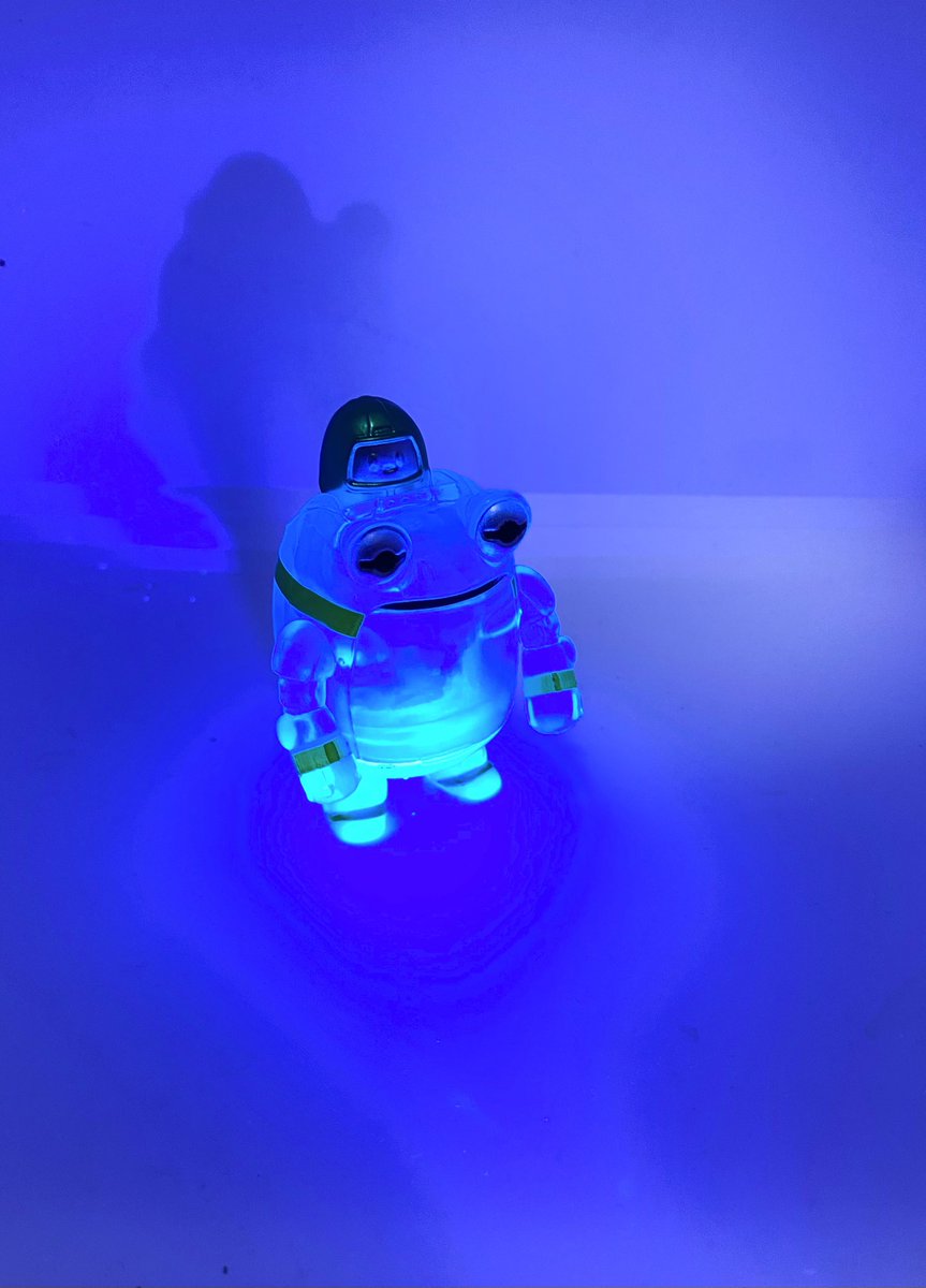 ブラックライトを当ててください。
ケローネンステルズは
光だします。