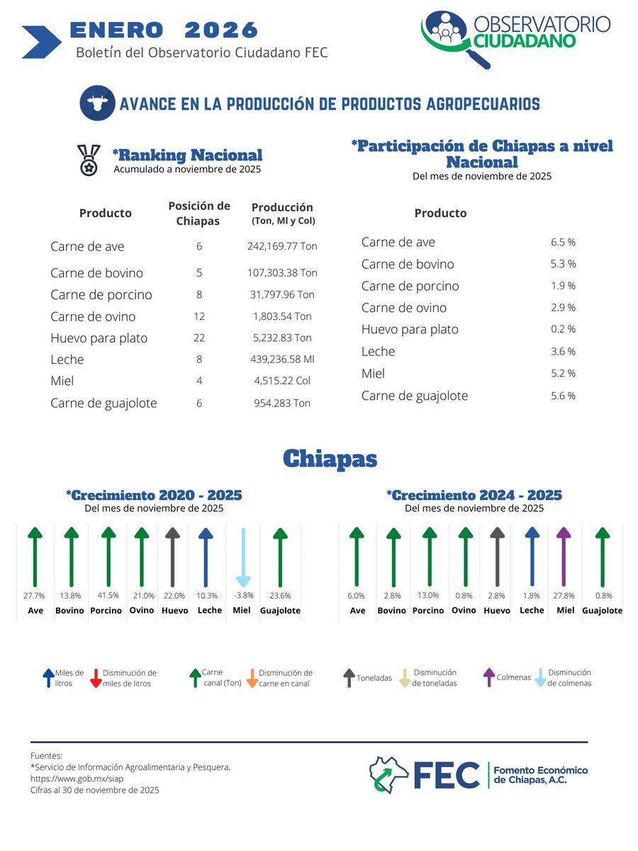 #SabíasQue 🐮🌱 Chiapas continúa fortaleciendo su producción pecuaria, consolidándose como un estado clave en la actividad agropecuaria a nivel nacional, con avances en carne, leche y huevo. #Pecuario #ProducciónAgropecuaria #ObservatorioCiudadanoFEC #Chiapas #ChiapasEnCifras