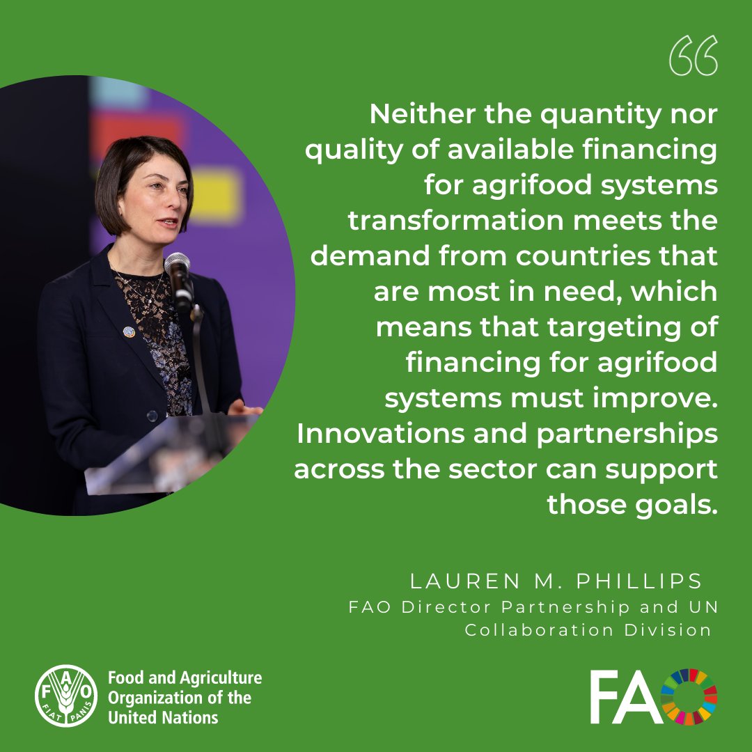 FAO in New York tweet media