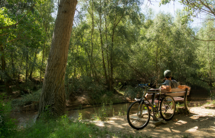 Turisme Montseny tweet media