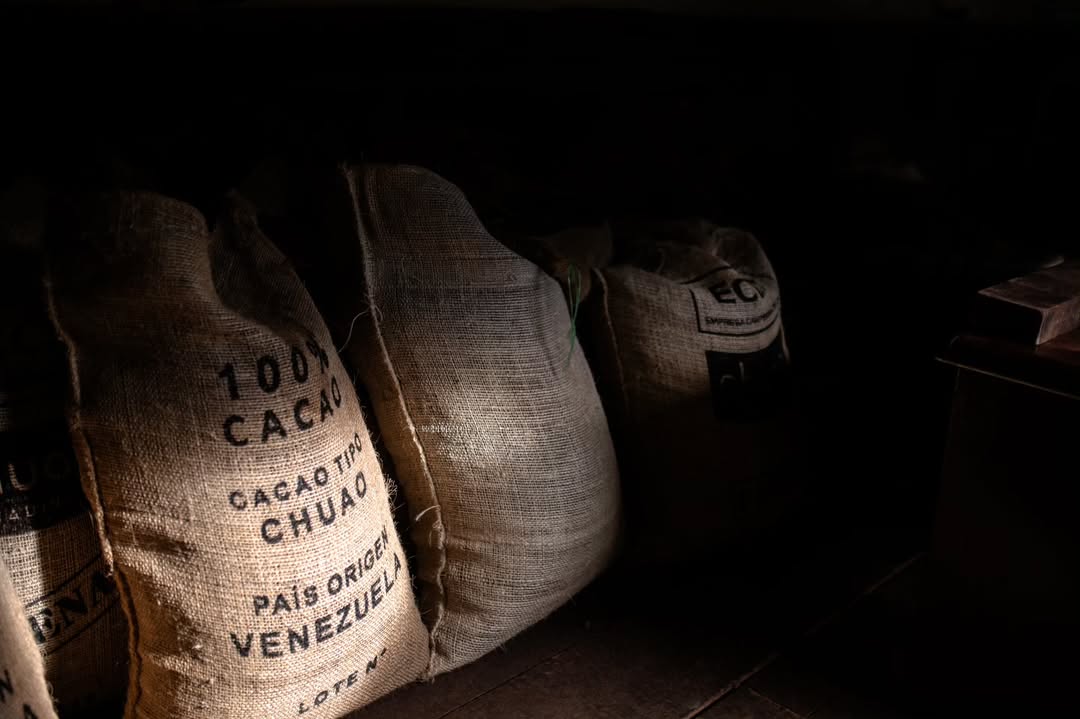 Catica Craft Chocolate tweet media