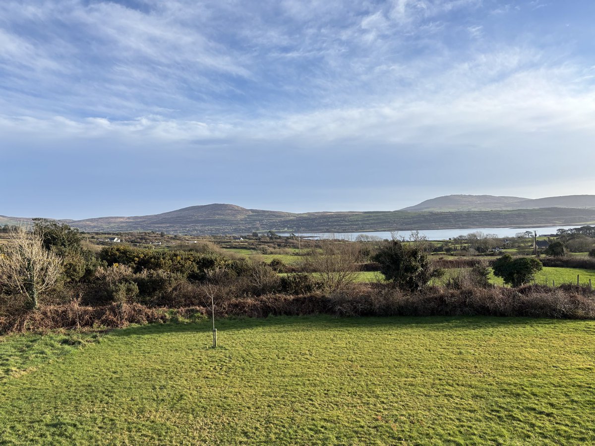 tony hourihan tweet media