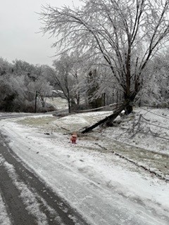 Nashville Electric Service tweet media