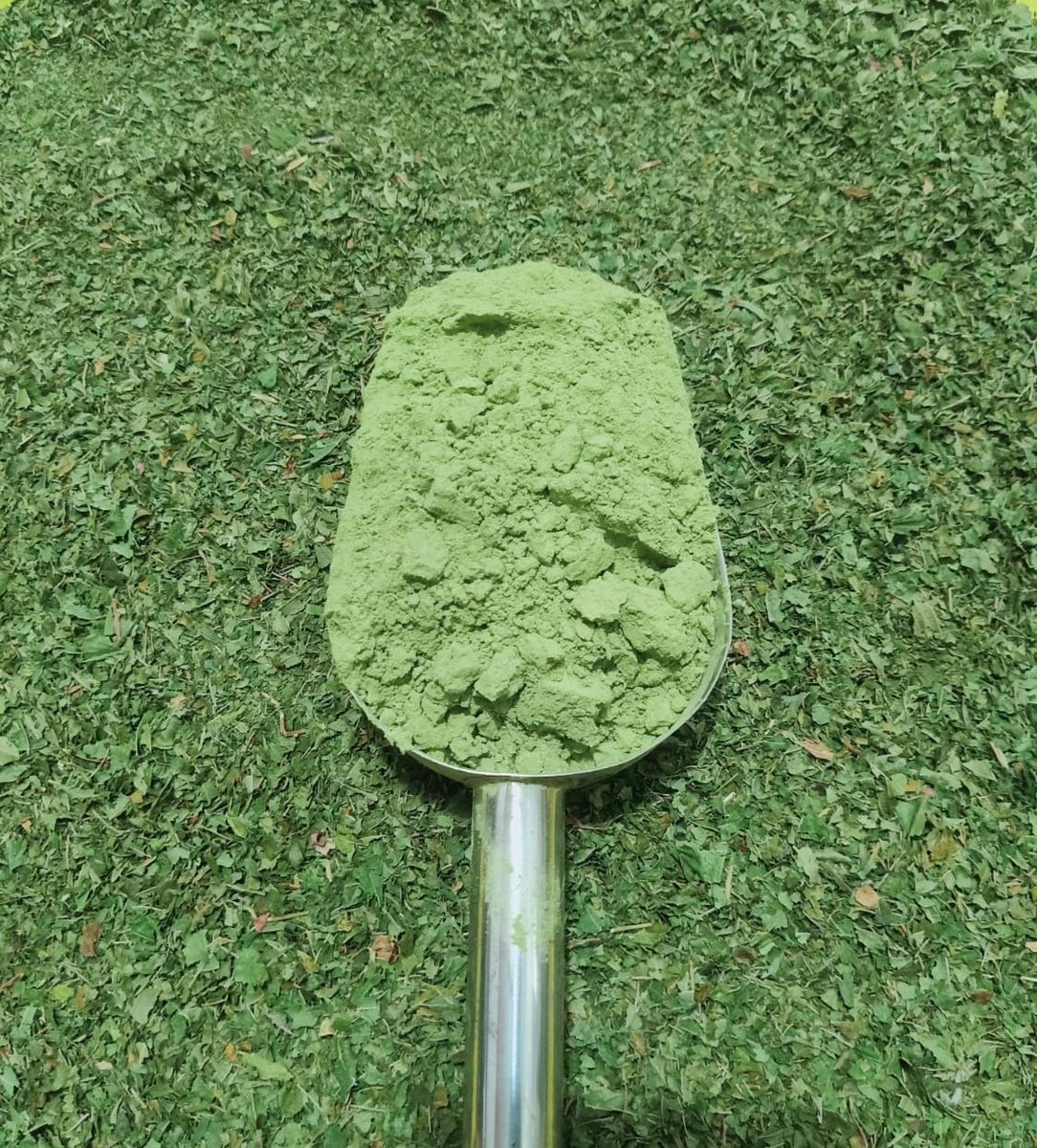 Miraclebotani88's tweet photo. Available 1000 kilo's kratom powder in USA.
• Green Strain √
• White Strain √
• Red Strain √
• Pure 100% √
• Certificate of Analisys √ https://t.co/RtnaJOG2Rn
