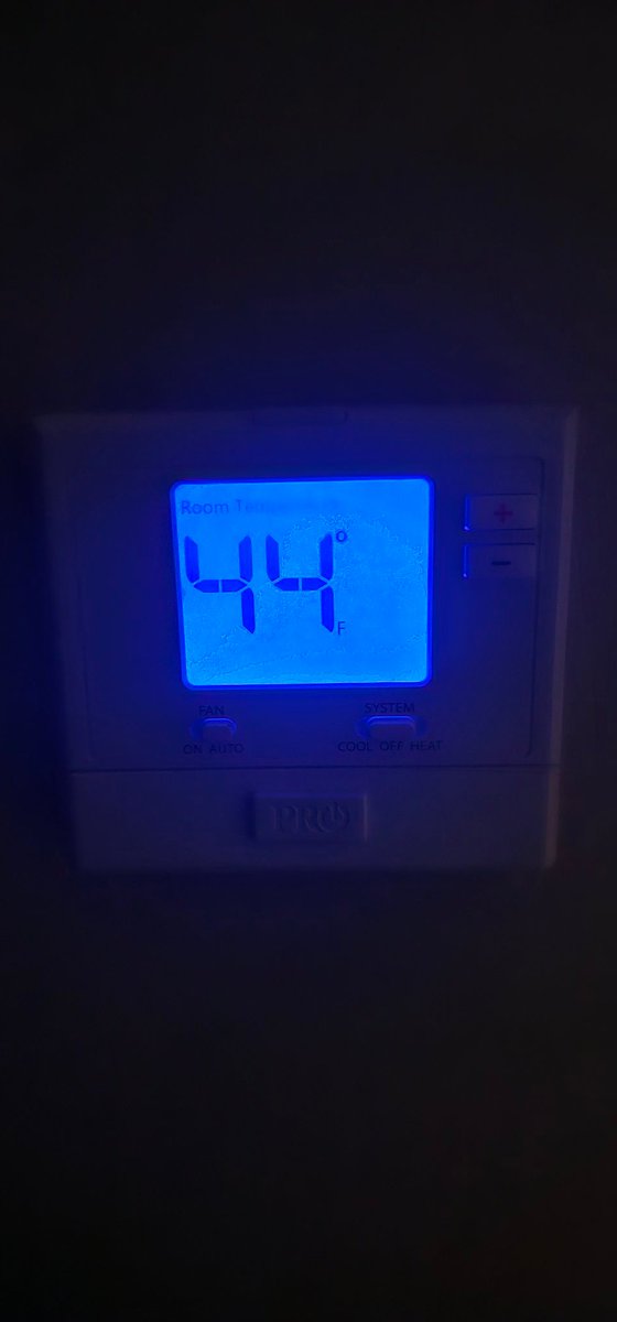 bananaisahannah, Empress Mango 🥭 tweet media