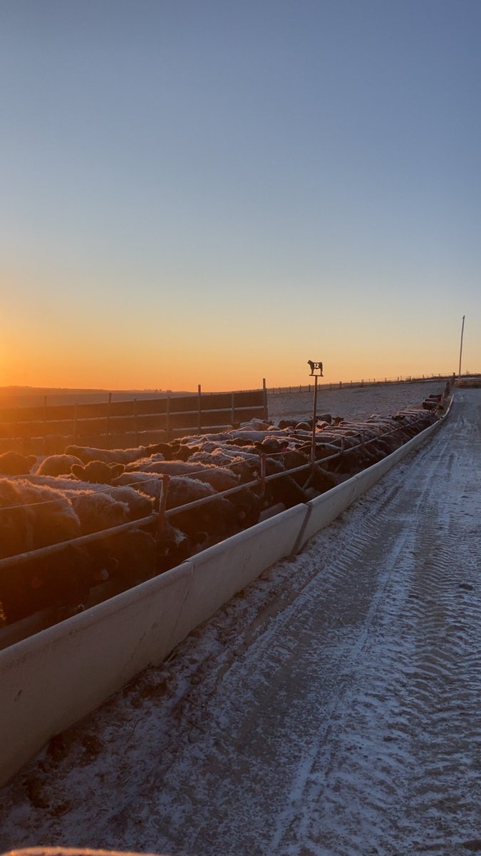 Not everyone gets to do this…

Snapped this pic this morning