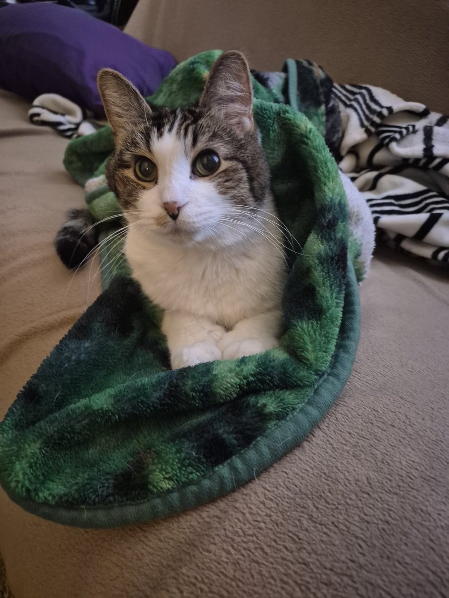 GlassSimpson's tweet image. Goodmorning ya'll!
I hope you top deck boss for game today. ❤️