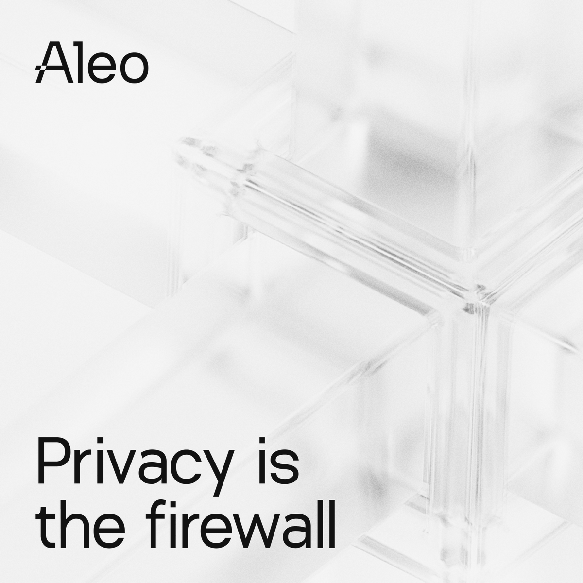 Aleo tweet media