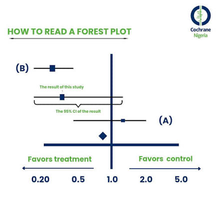🔸 كيفية قراءة Forest plot في أبحاث  meta analysis للمبتدئين #البحث_الطبي #احصاء 

1️⃣ كل مربع = دراسة واحدة
   - موقع المربع يشير إلى حجم تأثير الدراسة (هنا: نسبة الاحتمالية، Odd Ratio).
   - حجم المربع يمثل وزن الدراسة:
     - مربع كبير= المزيد من المشاركين، دقة أكبر، تأثير أكبر