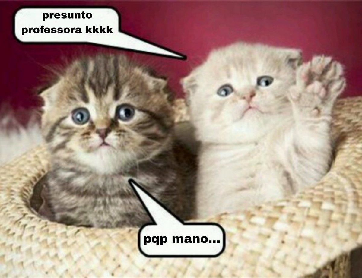 tortadefrango67's tweet image. 