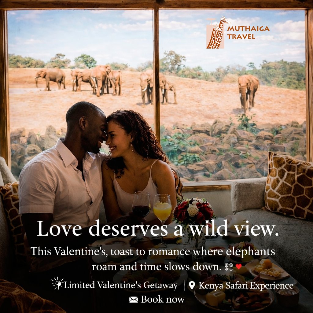 Love deserves a wild view.
This Valentine’s, toast to romance where elephants roam and time slows down. 🐘🍷
✨ Limited Valentine’s Getaway
📍 Kenya Safari Experience
💌 Book now