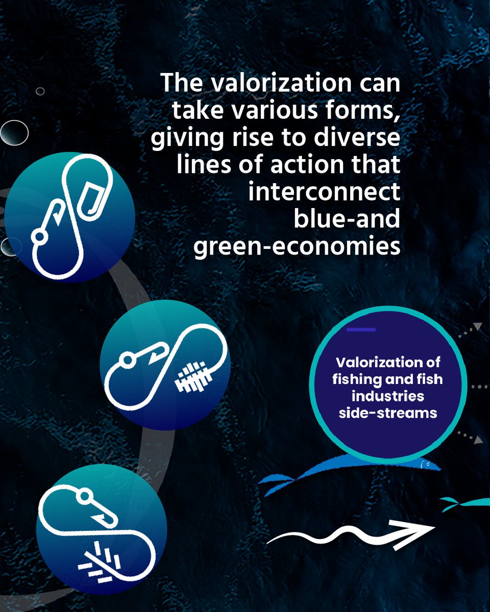 EcoeFISHent tweet media