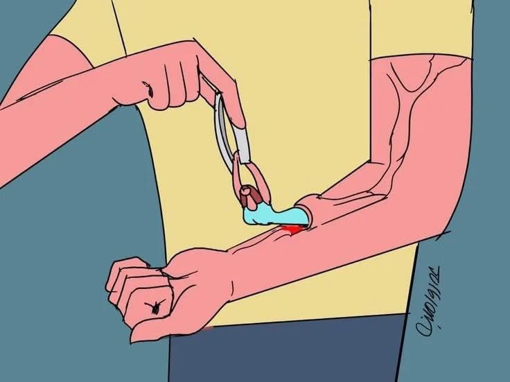 𝕮𝖆𝖊𝖘𝖆𝖗 ‏ tweet media