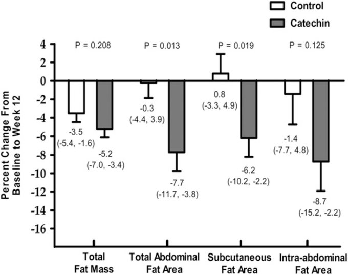 siimland's tweet image. Exercise combined with green tea catechins results in significantly greater loss of visceral fat mass than exercise alone

In this 12-week trial, both groups received a beverage with equal amounts of caffeine (39 mg), but the green tea group had 625 mg of catechins in their drink…