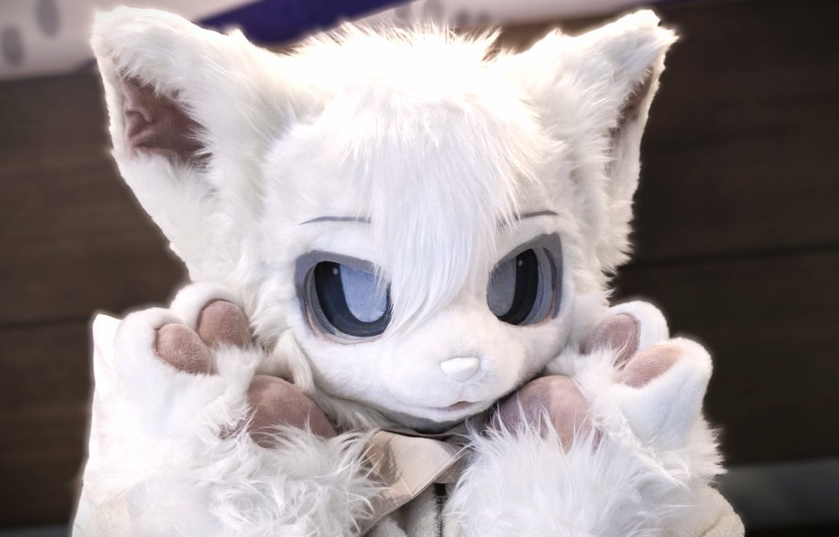 #퍼리_𝕏친소 #트친소 
생일을 맞아 소개합니다 !!!!!!!!!!

하울수프26에서 만나 이번에 함께하게 된 🐾
🤍백여우 토와(To-Wa) ! 🤍
앞으로도 잘 부탁해요 !!!