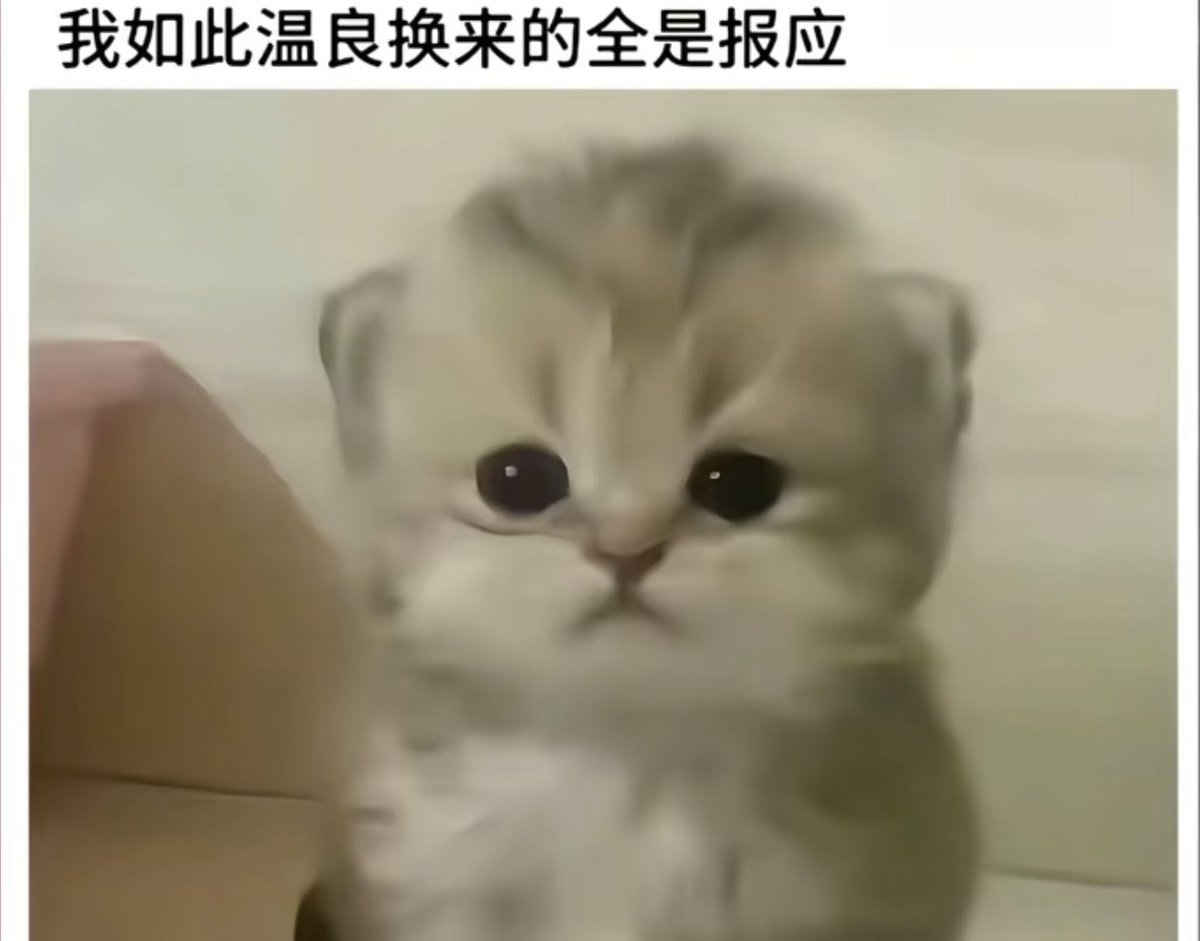 Kinoko tweet media