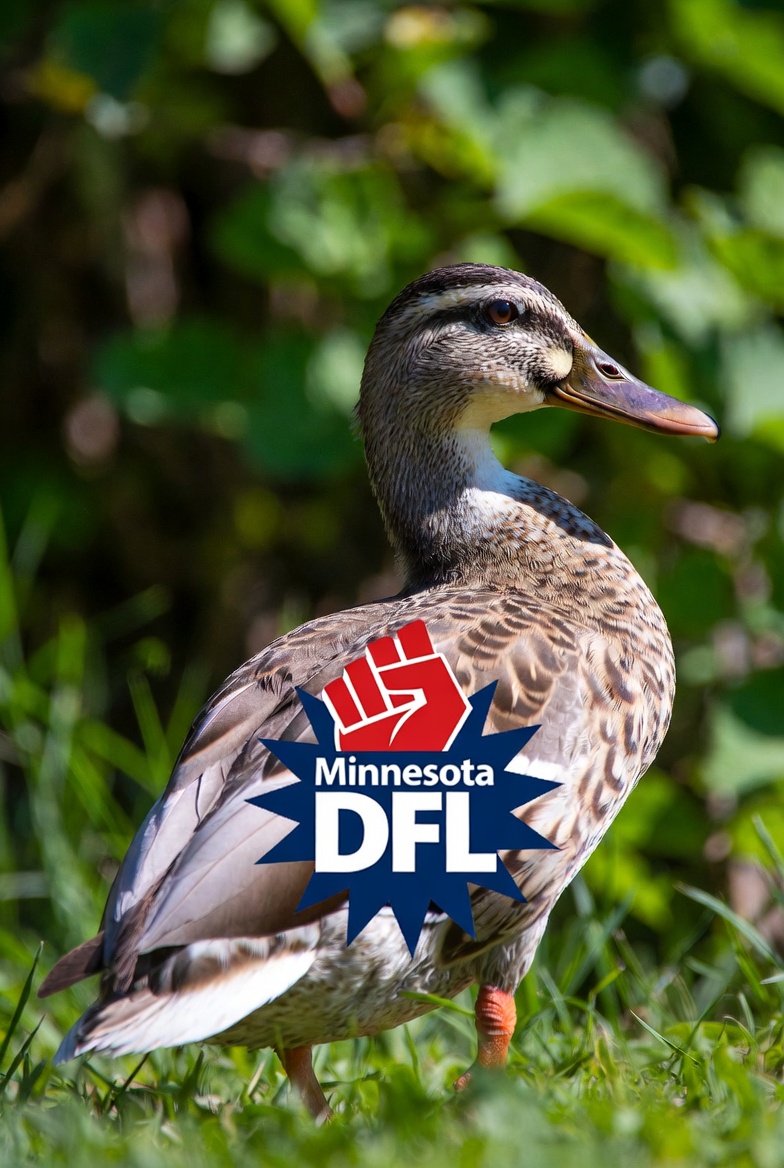 DrewRoachMN's tweet image. Honest question, was Chris Madel pretending to be a Republican? Reports suggest he's donated more then $50,000 to democrats including $13,000+ in 2024 alone. Below is a list of democrats he's donated to and the estimated amount he's contributed to their campaigns or PACS:
Kamala