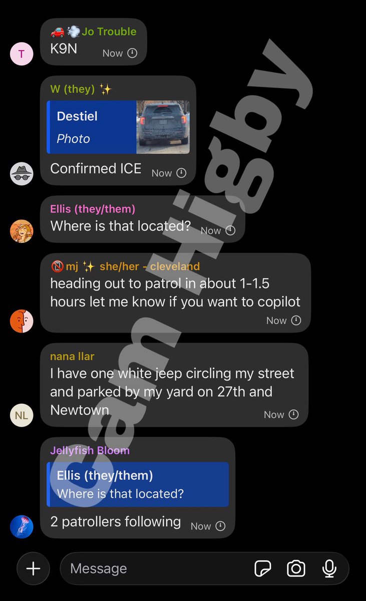 Cam Higby 🇺🇸 tweet media