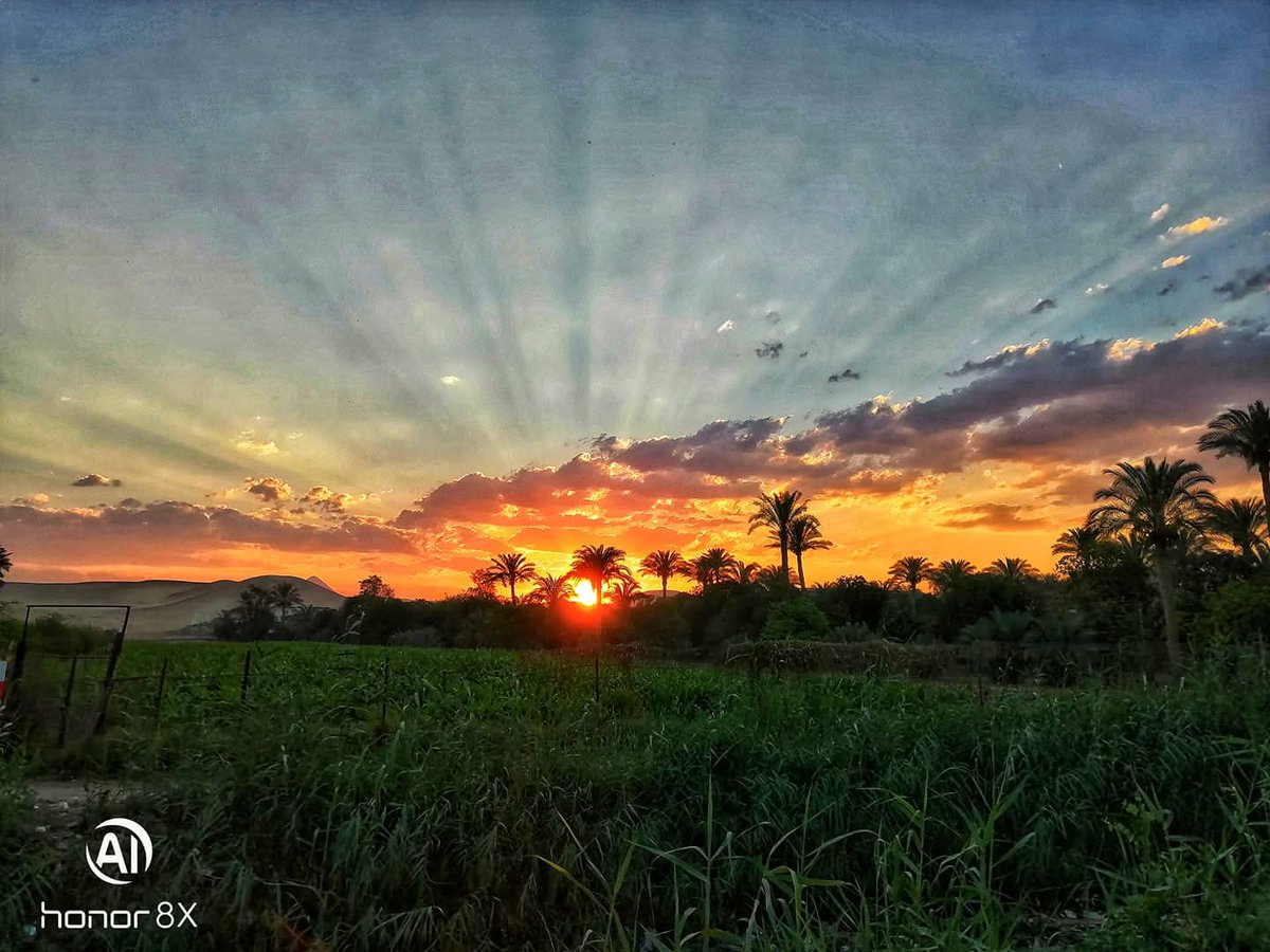 فوتغرافي📸 tweet media